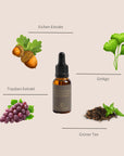 Antioxidant Ginkgo Gel Booster